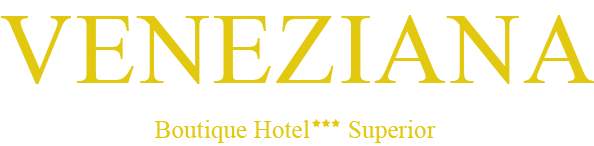 casaveneziana.si logo